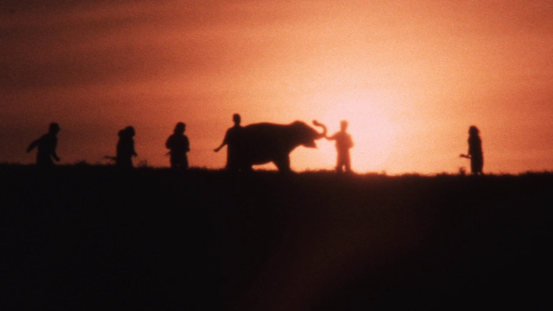 кадр из фильма 子象物語 地上に降りた天使