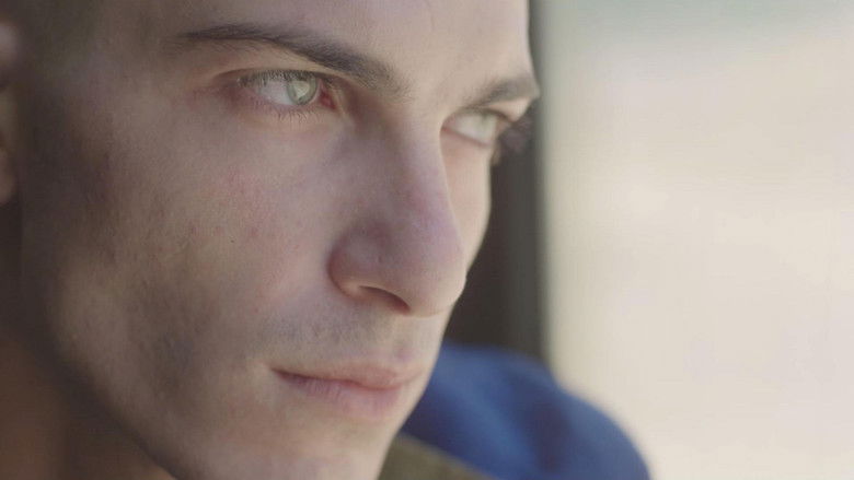 кадр из фильма Night of Love