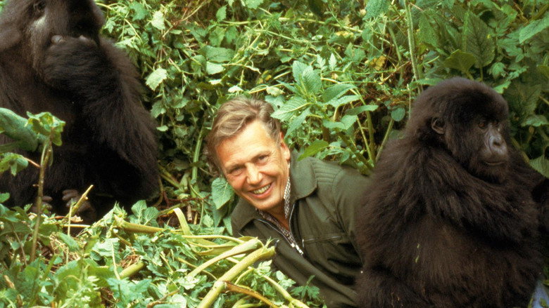 кадр из фильма Making Life on Earth: Attenborough’s Greatest Adventure