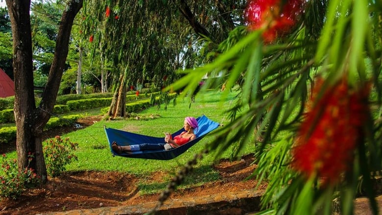 кадр из фильма Kuidas ma Aafrikat päästsin