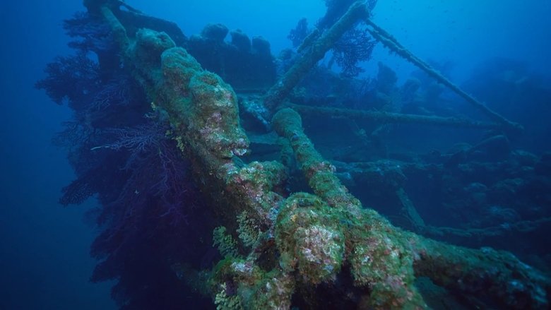 кадр из фильма Épaves, des oasis pour la nature