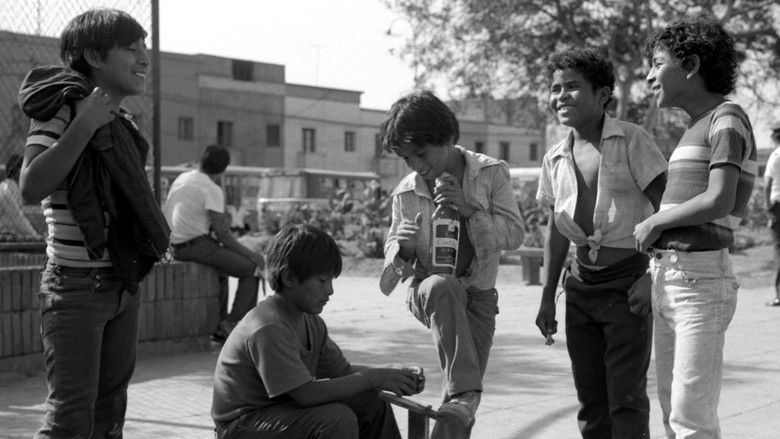 кадр из фильма Gregorio