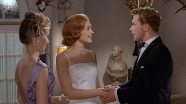 кадр из фильма Komtessen