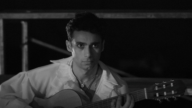 кадр из фильма Furioso