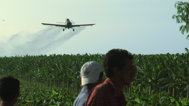 кадр из фильма Bananas!*