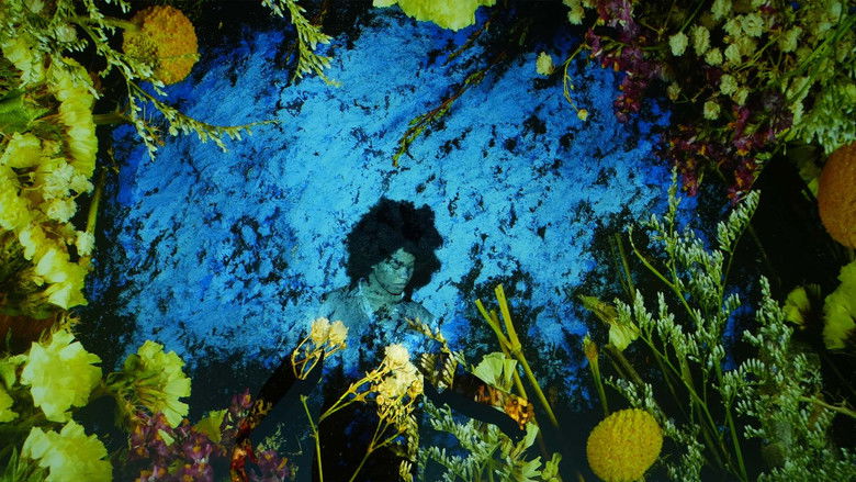 кадр из фильма Becoming Air