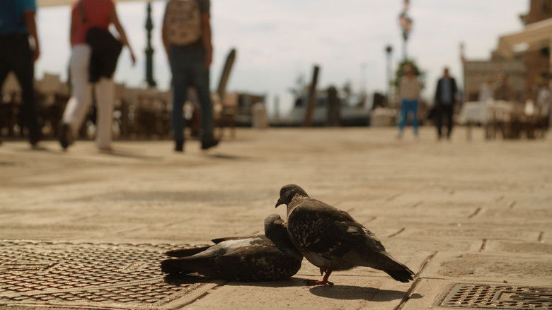 кадр из фильма Interrail