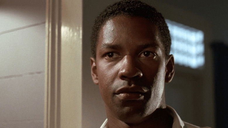 кадр из фильма Могучий Куинн