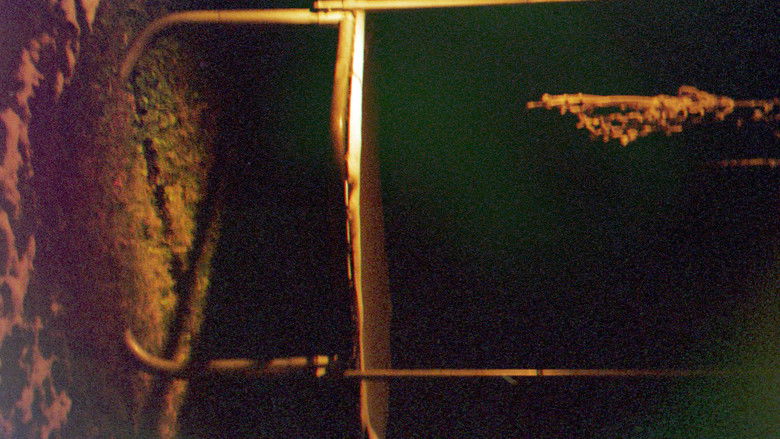 кадр из фильма JEREMY MARILYN