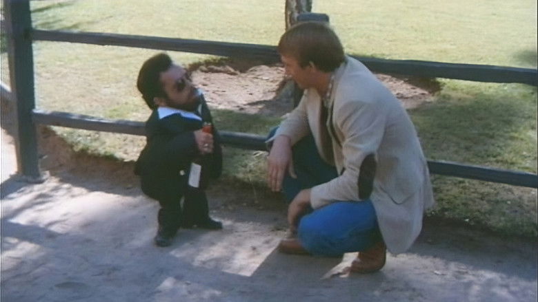 кадр из фильма Дикий пляж