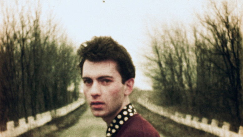 кадр из фильма Swain