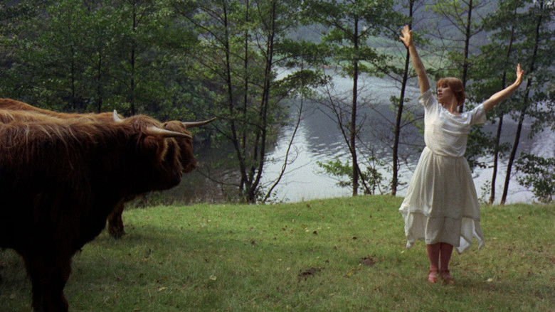 кадр из фильма Влюбленные женщины