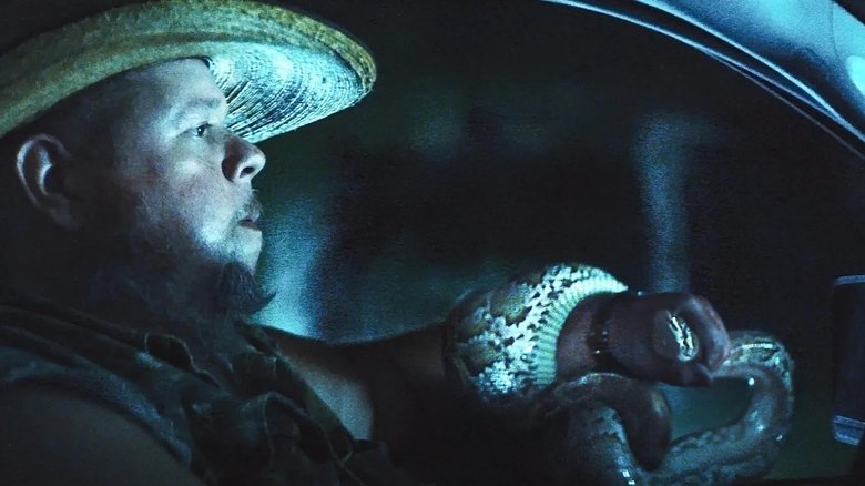 кадр из фильма The Python Hunt