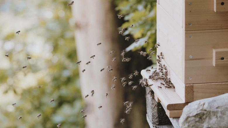 кадр из фильма BE WILD - DIE NORMALITÄT IST RADIKAL