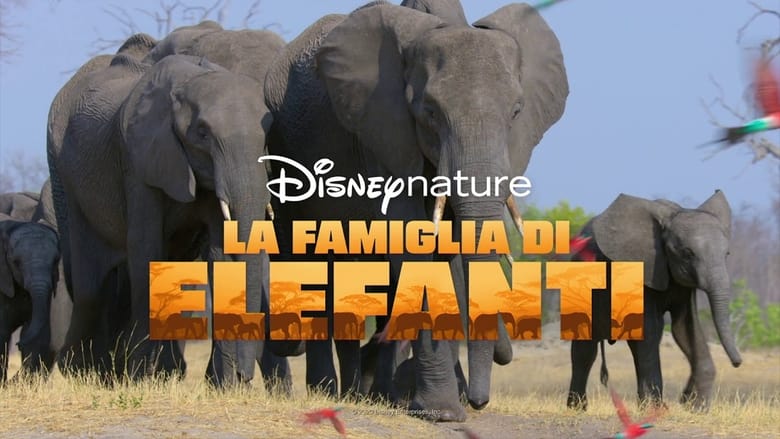 кадр из фильма Elephant