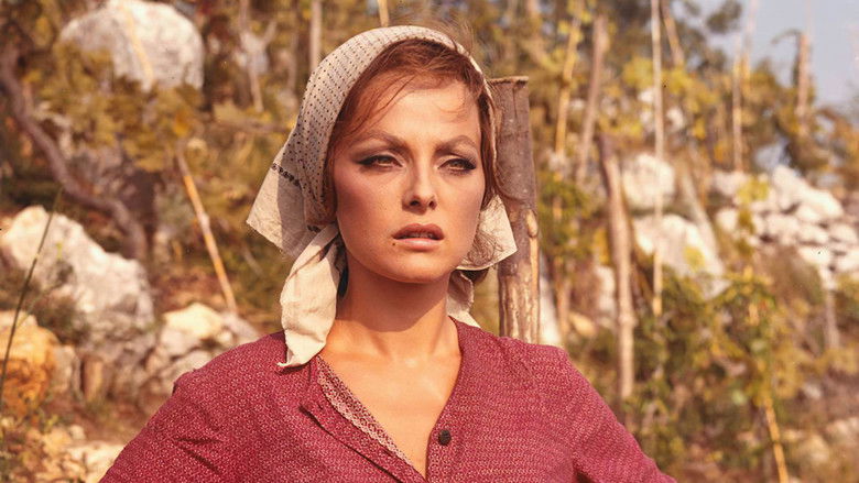 кадр из фильма Тайна Санта-Виттории