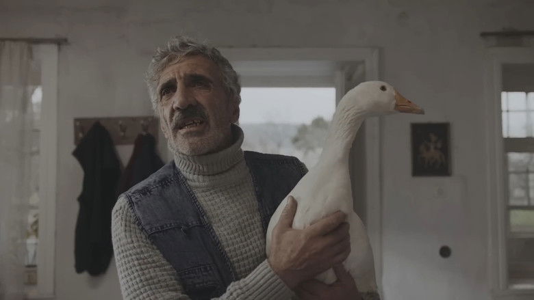 кадр из фильма The Mud