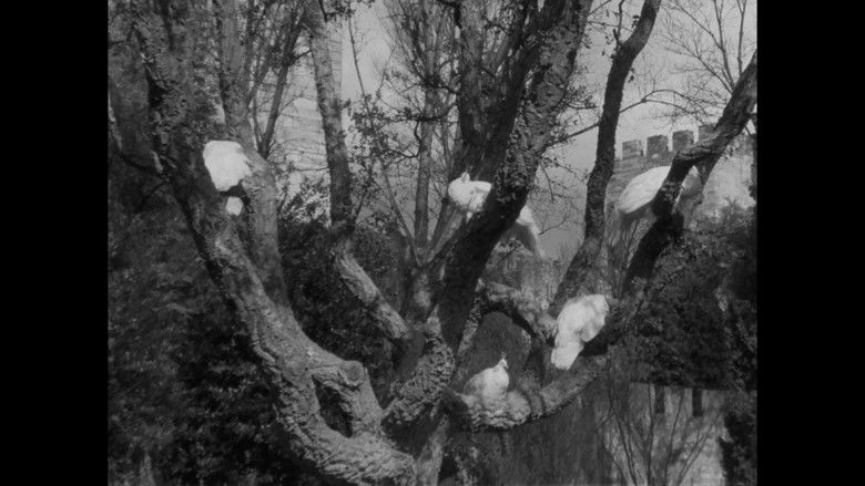 кадр из фильма Que Farei eu com Esta Espada?