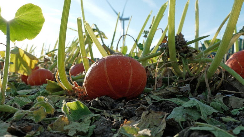 кадр из фильма De Queeste