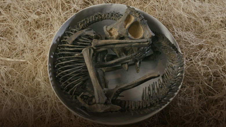 кадр из фильма The Dinosaur Echo