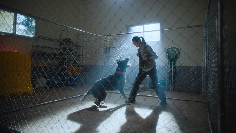 кадр из фильма Исступление