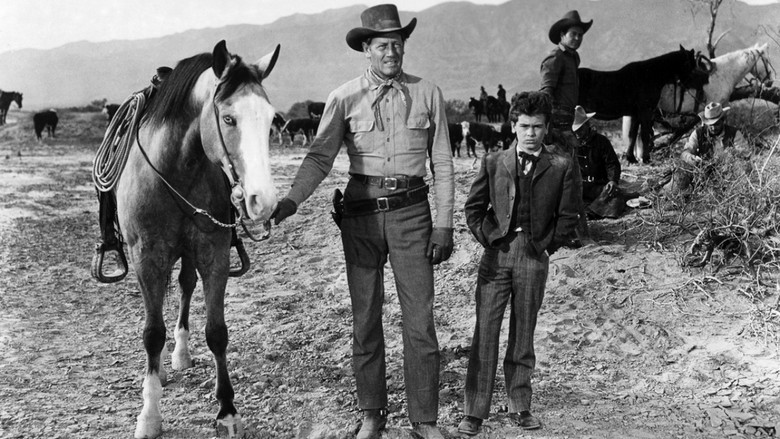 кадр из фильма Cattle Drive
