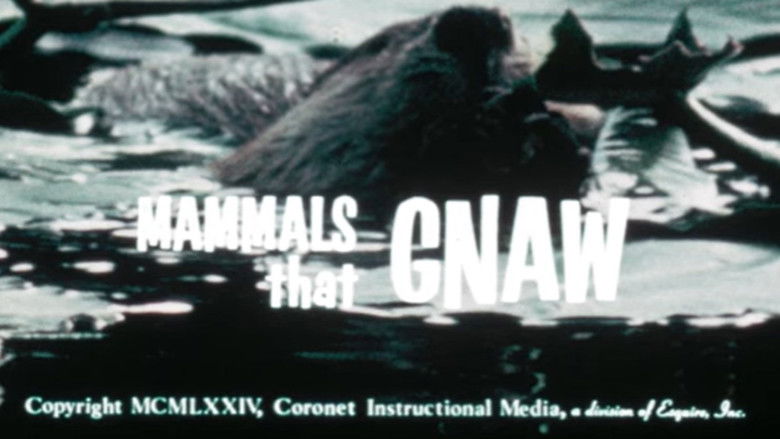 кадр из фильма Mammals That Gnaw