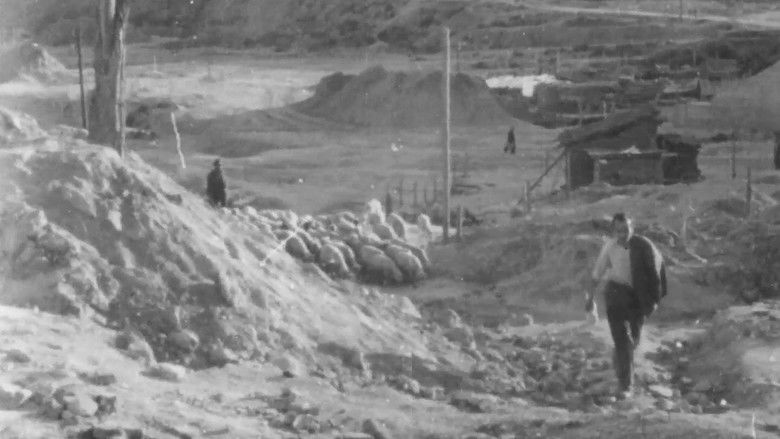 кадр из фильма La primera mirada: historia de una escuela de cine