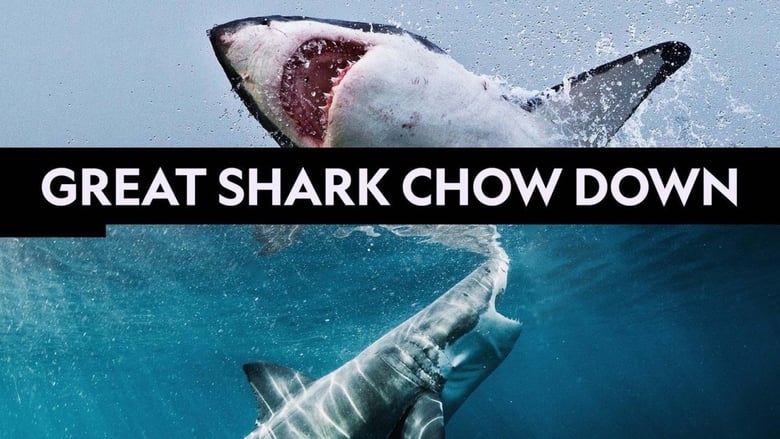 кадр из фильма Great Shark Chow Down