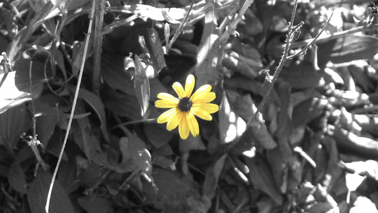 кадр из фильма ブレグ・アタック2