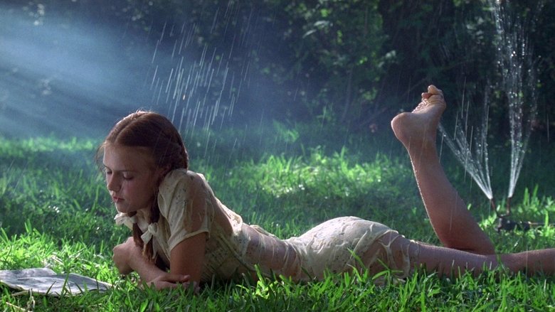 кадр из фильма Лолита