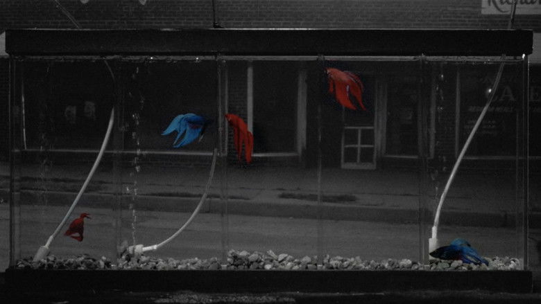 кадр из фильма Бойцовая рыбка