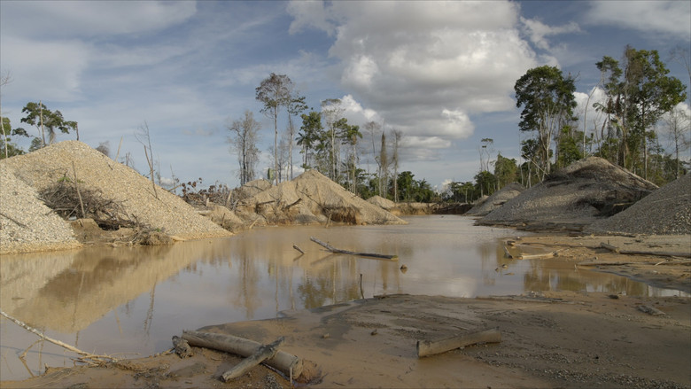 кадр из фильма Wändari