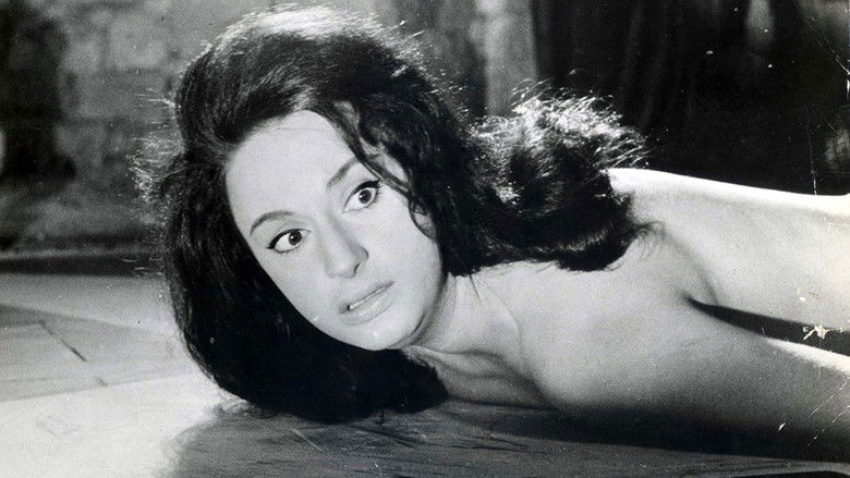 кадр из фильма Проклятие Карнштейнов