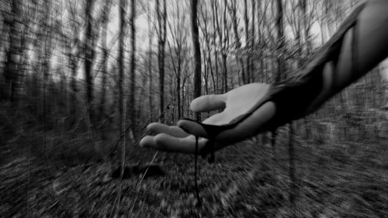 кадр из фильма Felülről