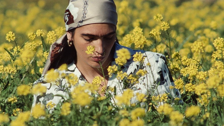 кадр из фильма Iran-e Man