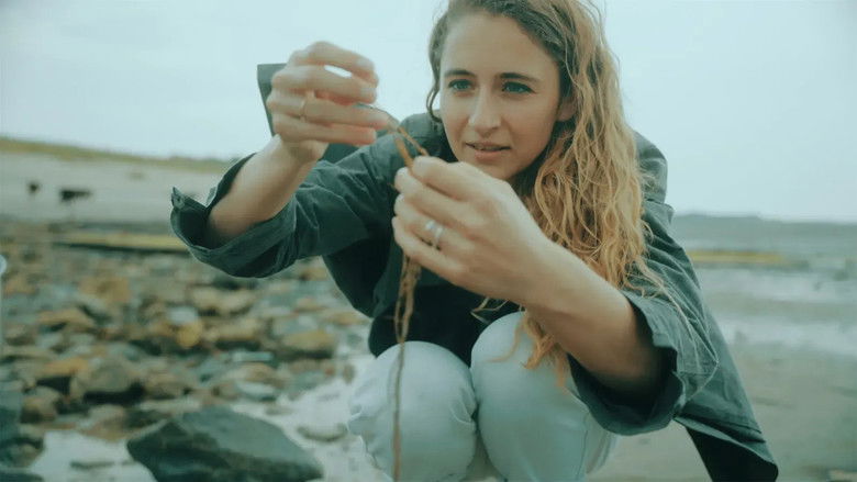 кадр из фильма A World to Shape