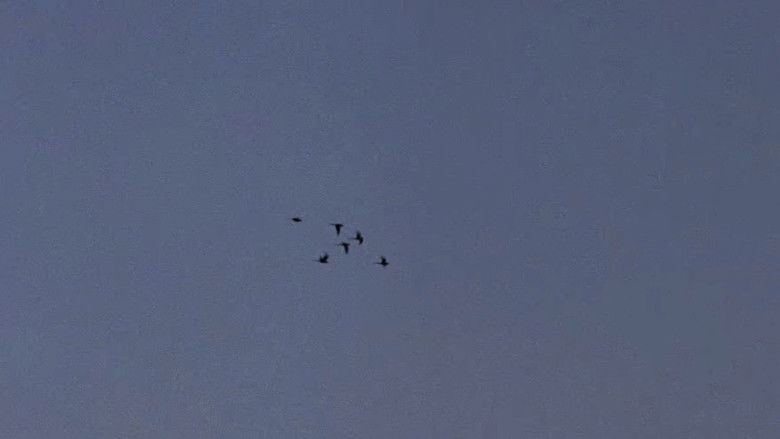 кадр из фильма Kapital Europe