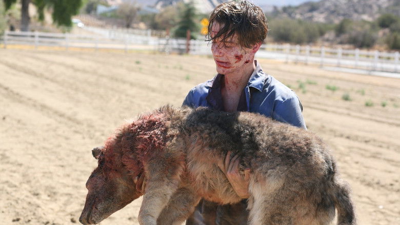 кадр из фильма Франкенштейн