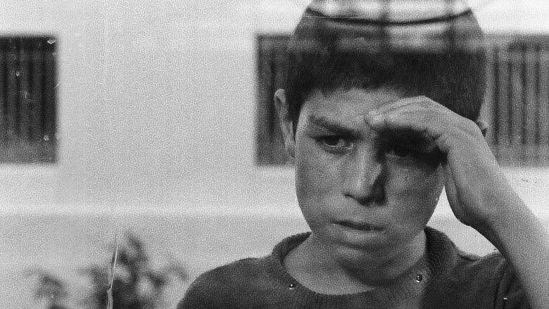 кадр из фильма Путешественник