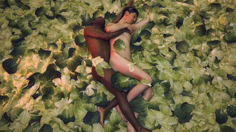 кадр из фильма Fluidø