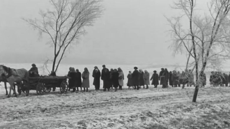 кадр из фильма Материнское поле