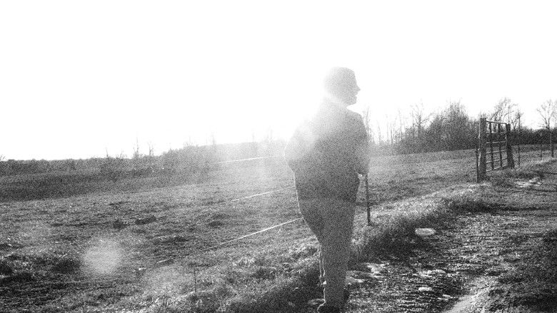 кадр из фильма Falling Star