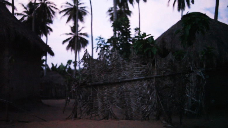 кадр из фильма Native Sun