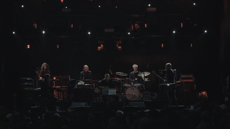 кадр из фильма Swans: Nox Orae 2023