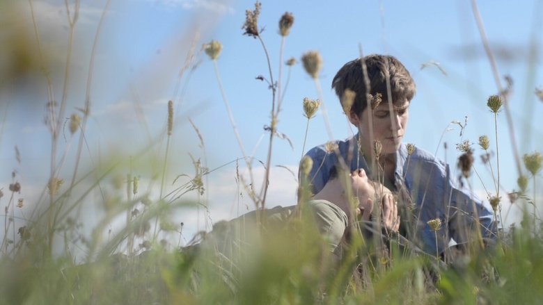 кадр из фильма Лелеки завжди повертаються додому