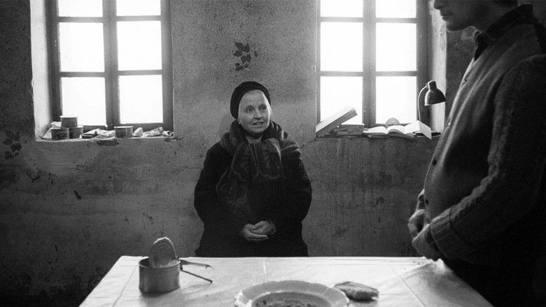 кадр из фильма Гармонии Веркмейстера