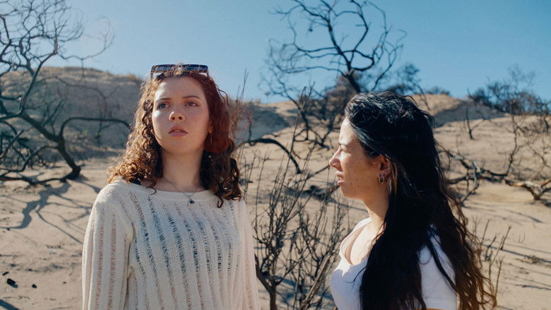 кадр из фильма What We Bring