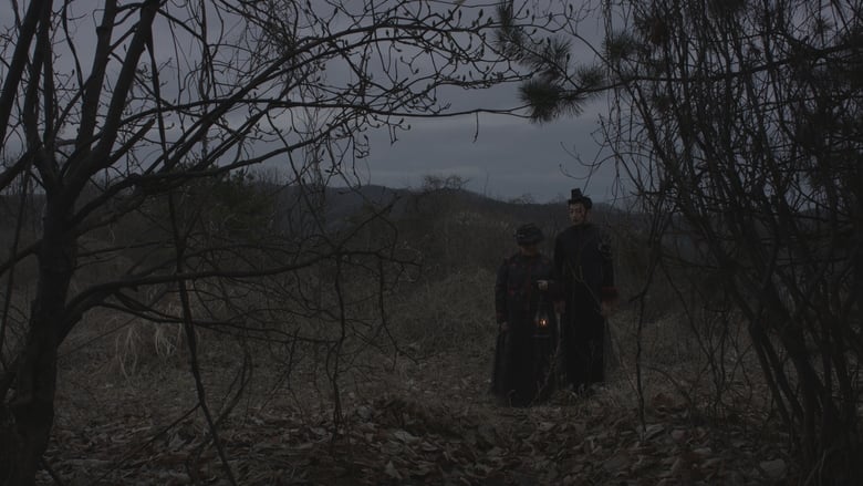 кадр из фильма 임신한 나무와 도깨비