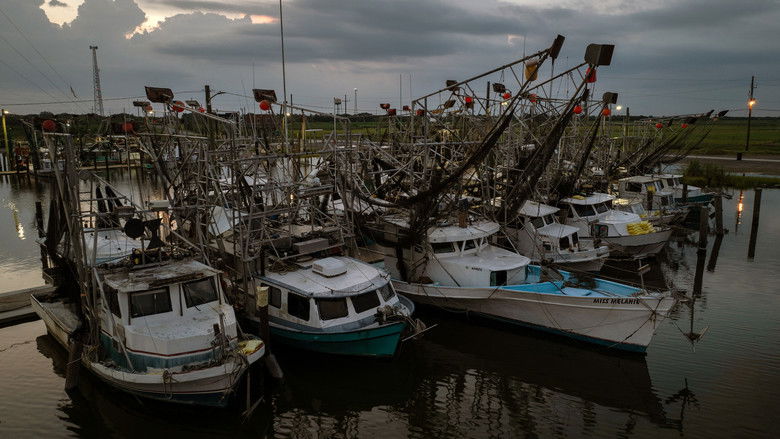 кадр из фильма Last of the Shrimpers